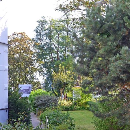 Ruhige Fewo Mit Strandkorb, Villa Stranddistel, Binz Zewnętrze zdjęcie
